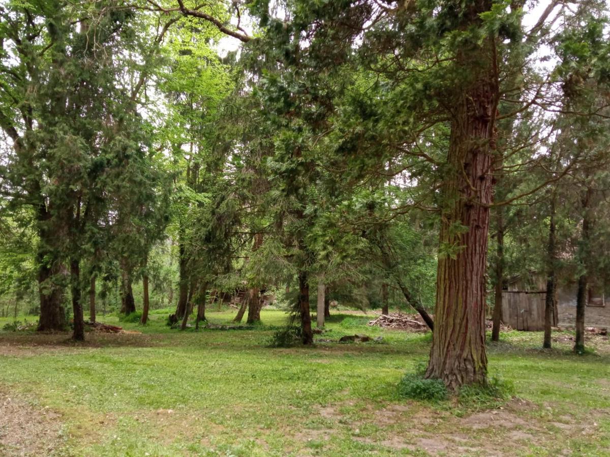 Kalmar Vendeghaz-Vadaszhaz Tornyiszentmiklos Buitenkant foto