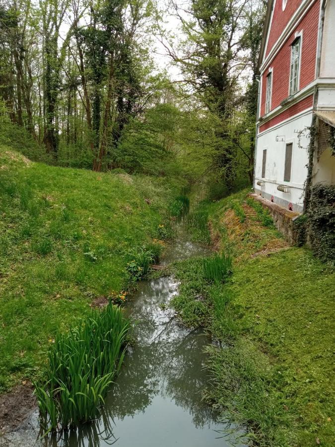 Kalmar Vendeghaz-Vadaszhaz Tornyiszentmiklos Buitenkant foto
